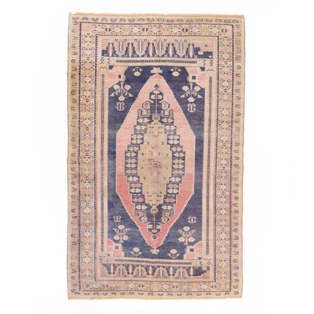 Goznur (Light Within)