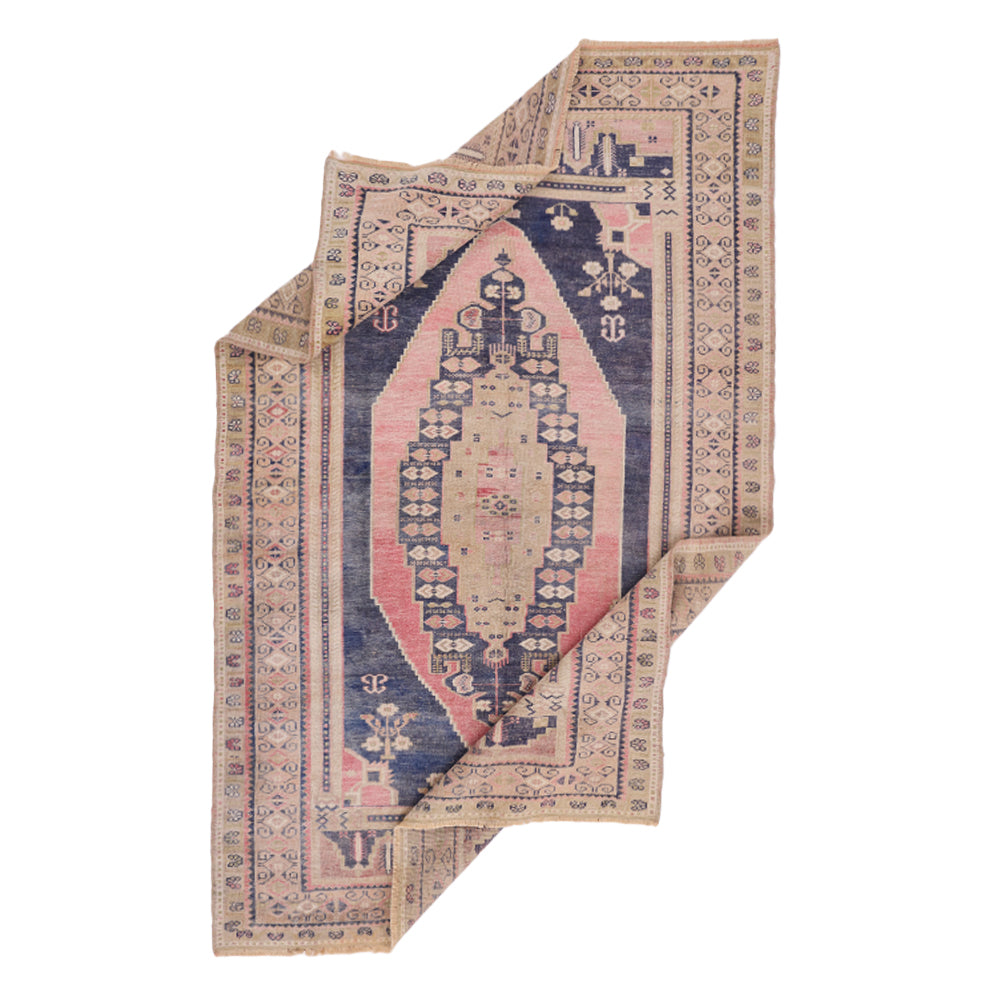 Goznur (Light Within)