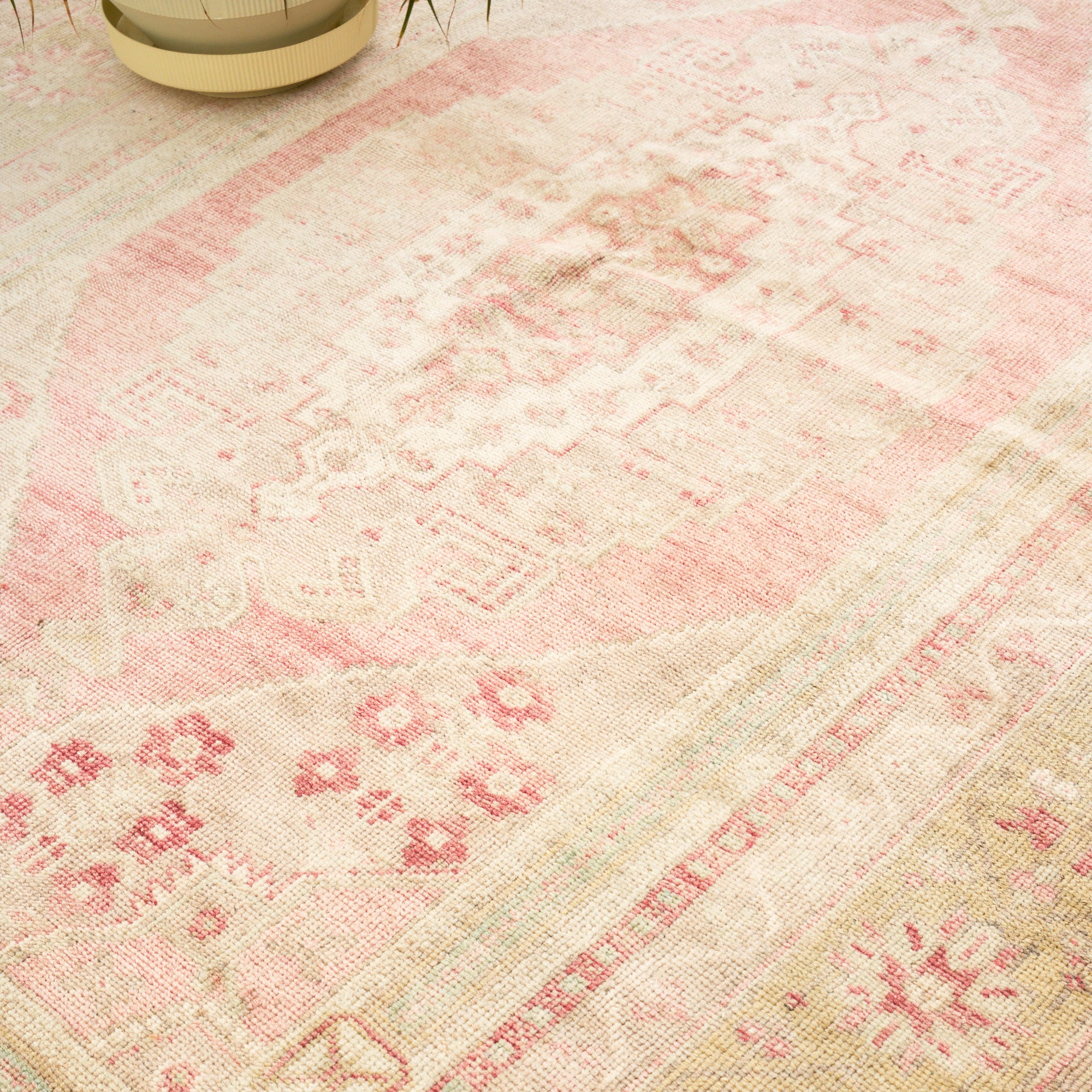 Goncalar (Blushing Blooms)