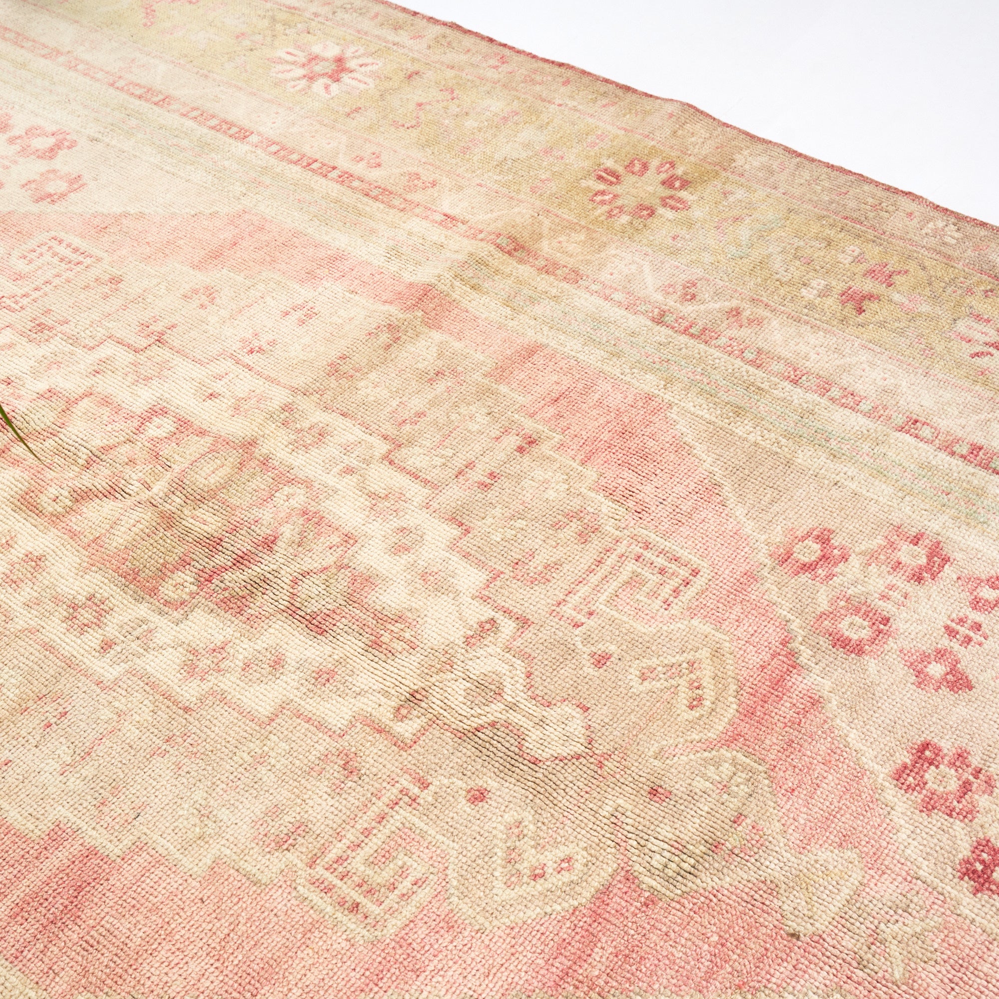 Goncalar (Blushing Blooms)