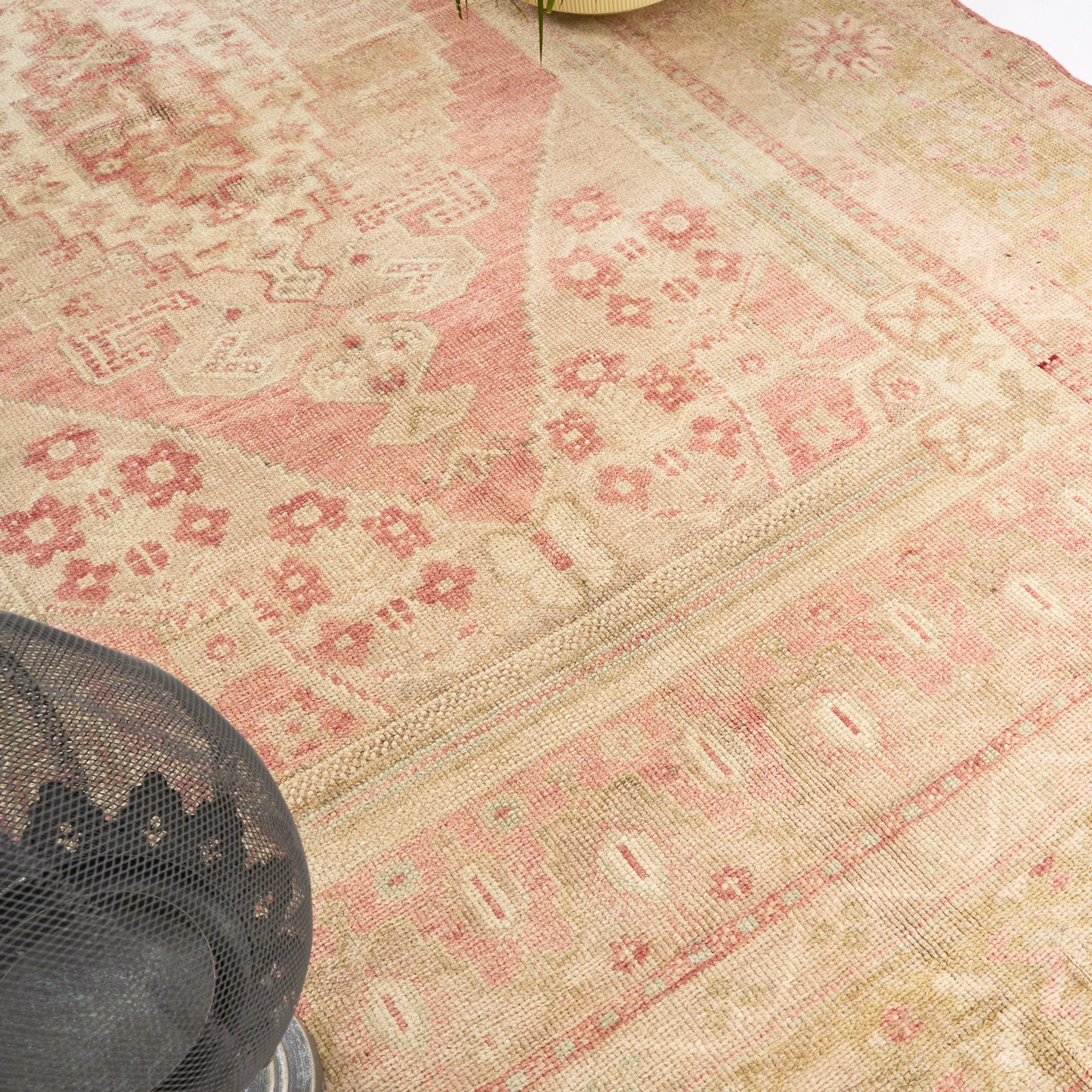 Goncalar (Blushing Blooms)